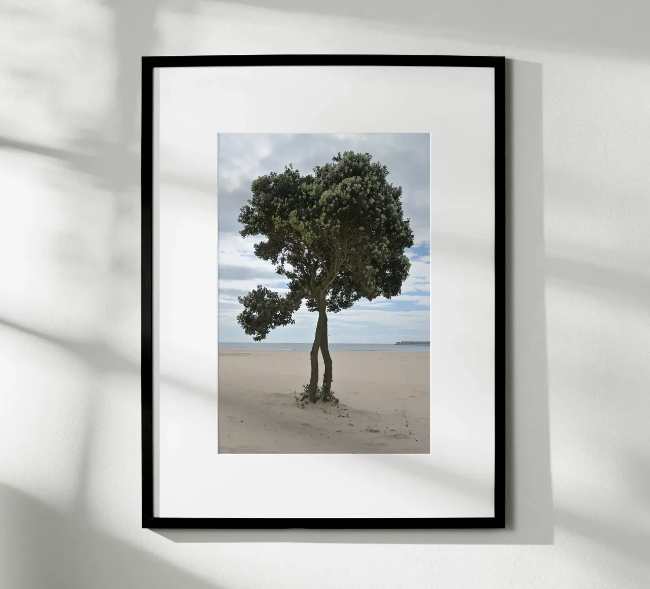 Lonely Tree at the Beach in Matosinhos hahnemühle by byrieneke