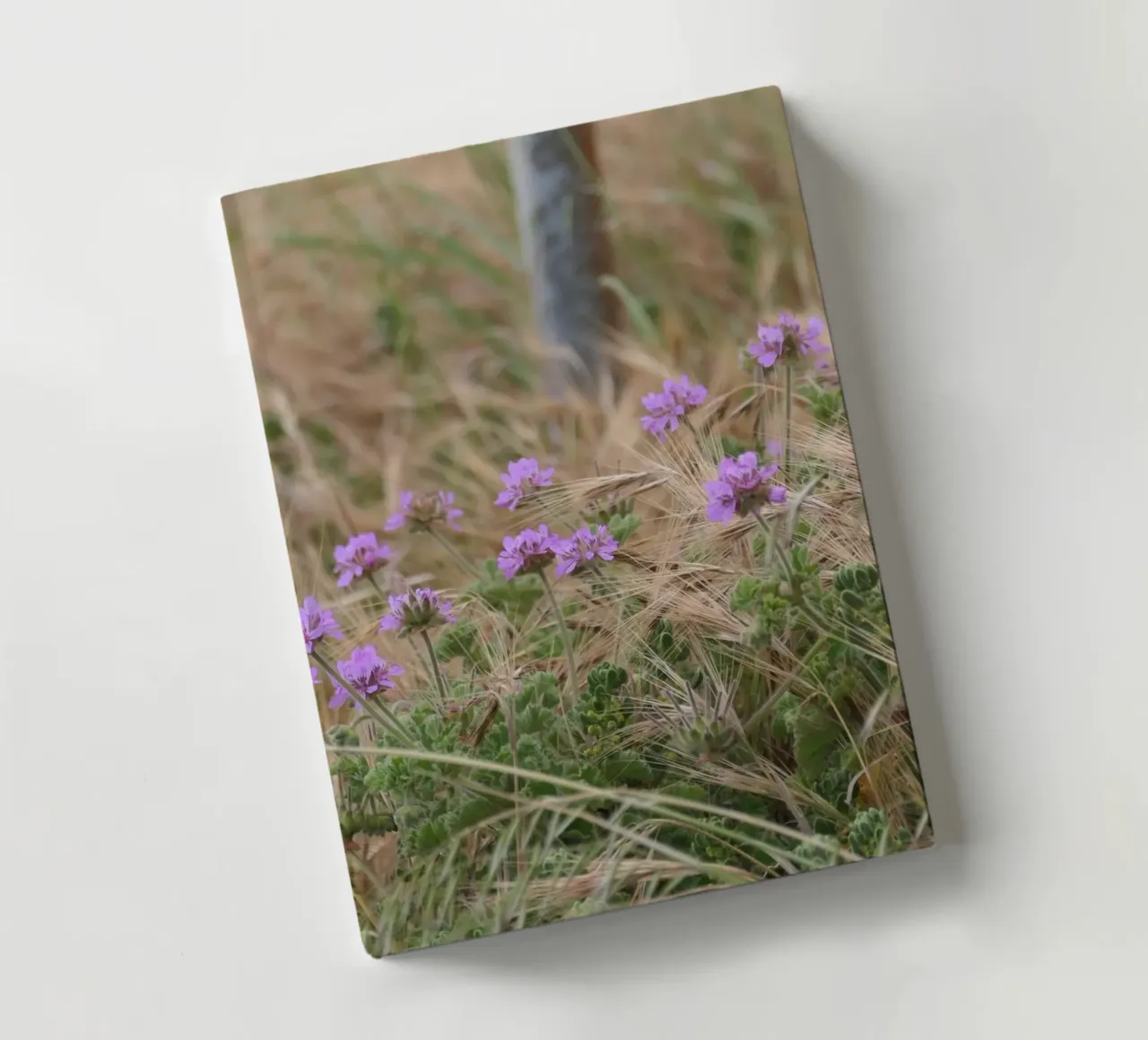 Fleurs violettes dans l'herbe jaune et verte carnet de notes de byrieneke