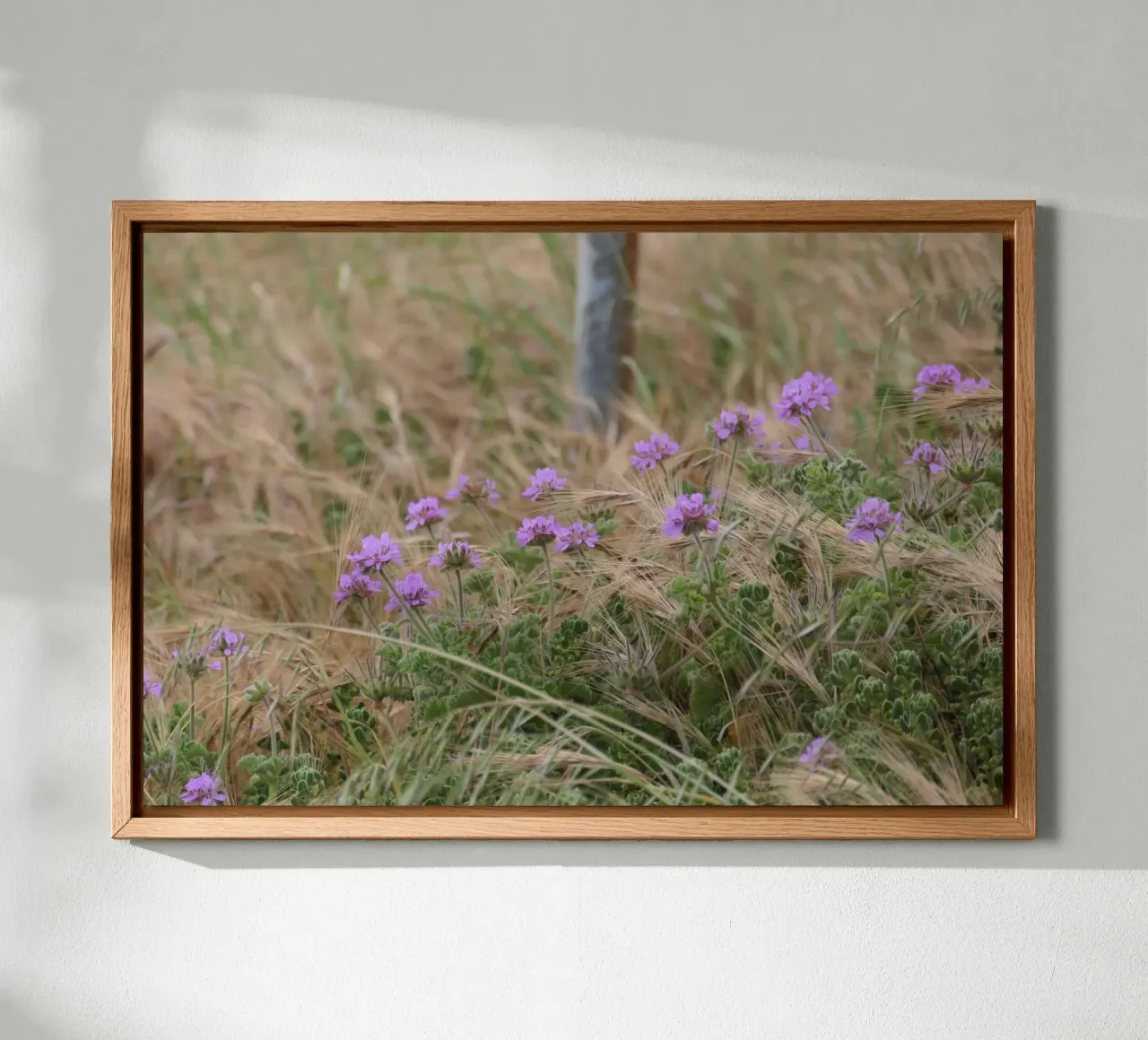 Purple Flowers in Yellow & Green Grass canvas with Floater frame by byrieneke