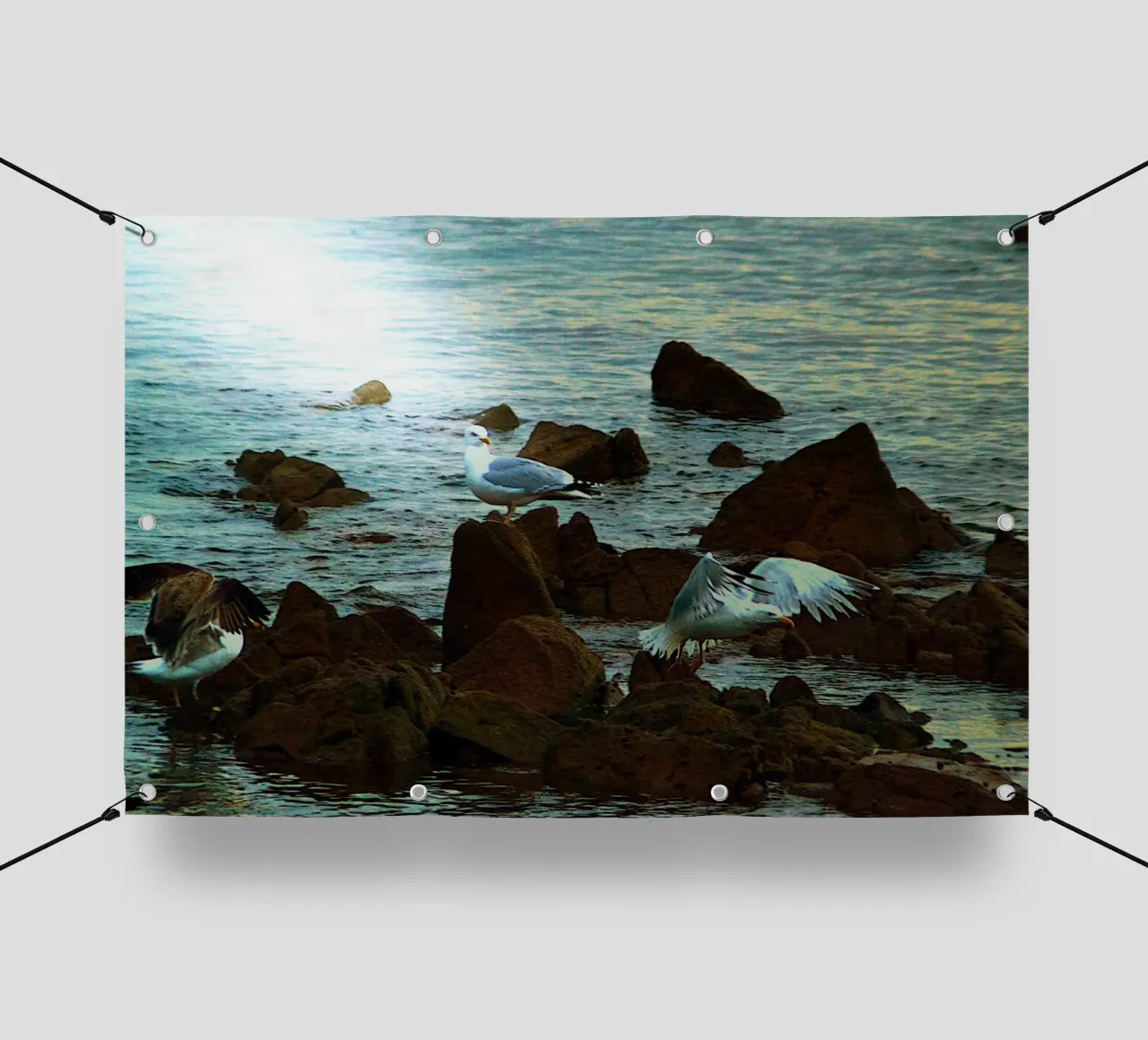 FAA326 ASPETTAMI, STO ARRIVANDO! telo in pvc da Thierry vobmann photography