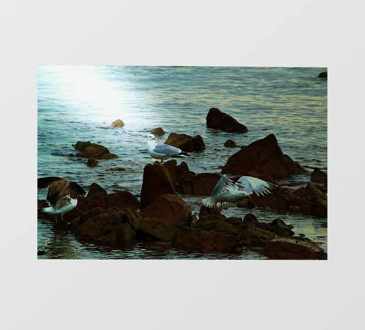 FAA326 ASPETTAMI, STO ARRIVANDO! telo in pvc da Thierry vobmann photography