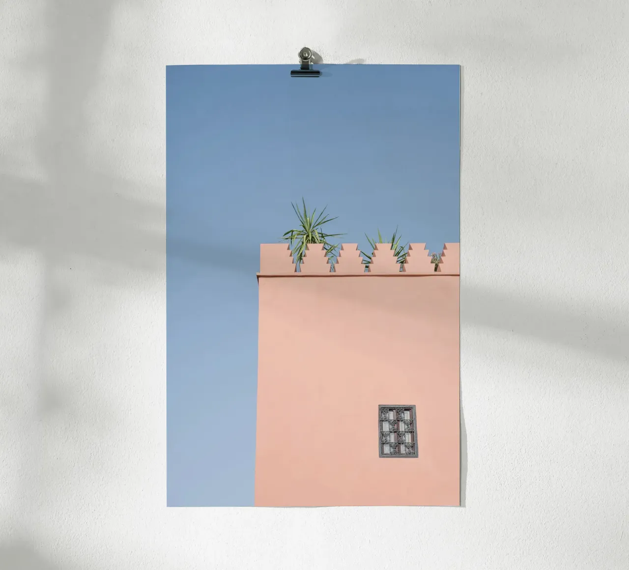 Green palm and a pink house in Marrakesh poster da photolovers