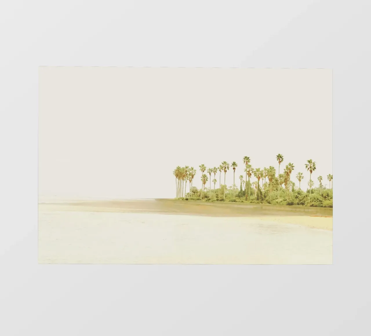 Isola delle palme telo in pvc da KISSA STUDIO