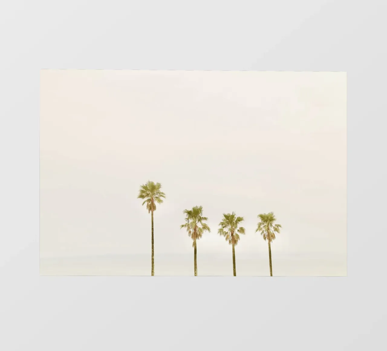 Calm Palm Trees telo in pvc da KISSA STUDIO