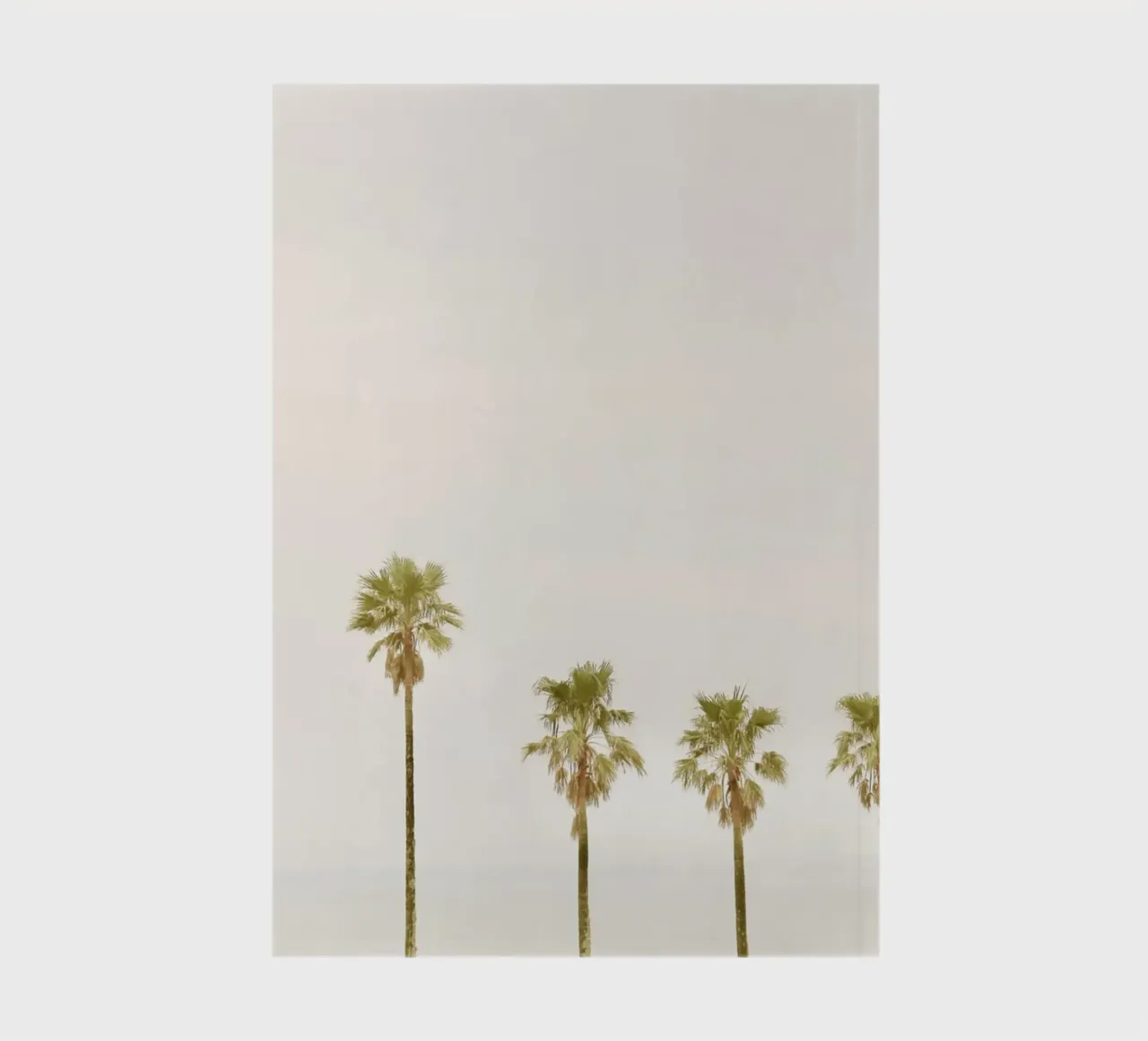 Calm Palm Trees notebook by KISSA STUDIO