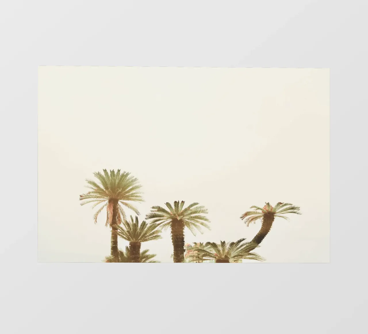 Palme selvatiche telo in pvc da KISSA STUDIO