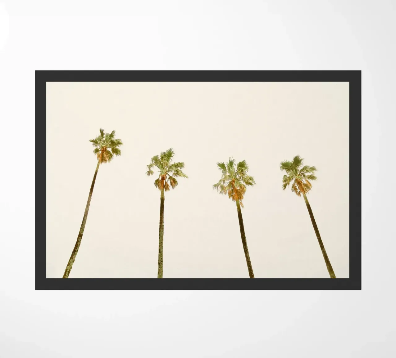 Palme zerbino da KISSA STUDIO