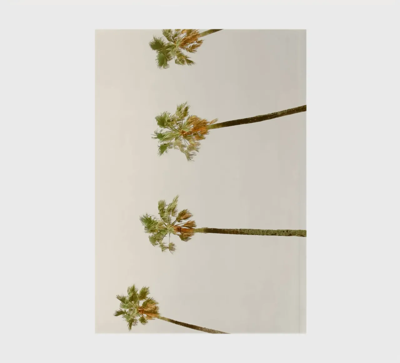Palm Trees notebook by KISSA STUDIO