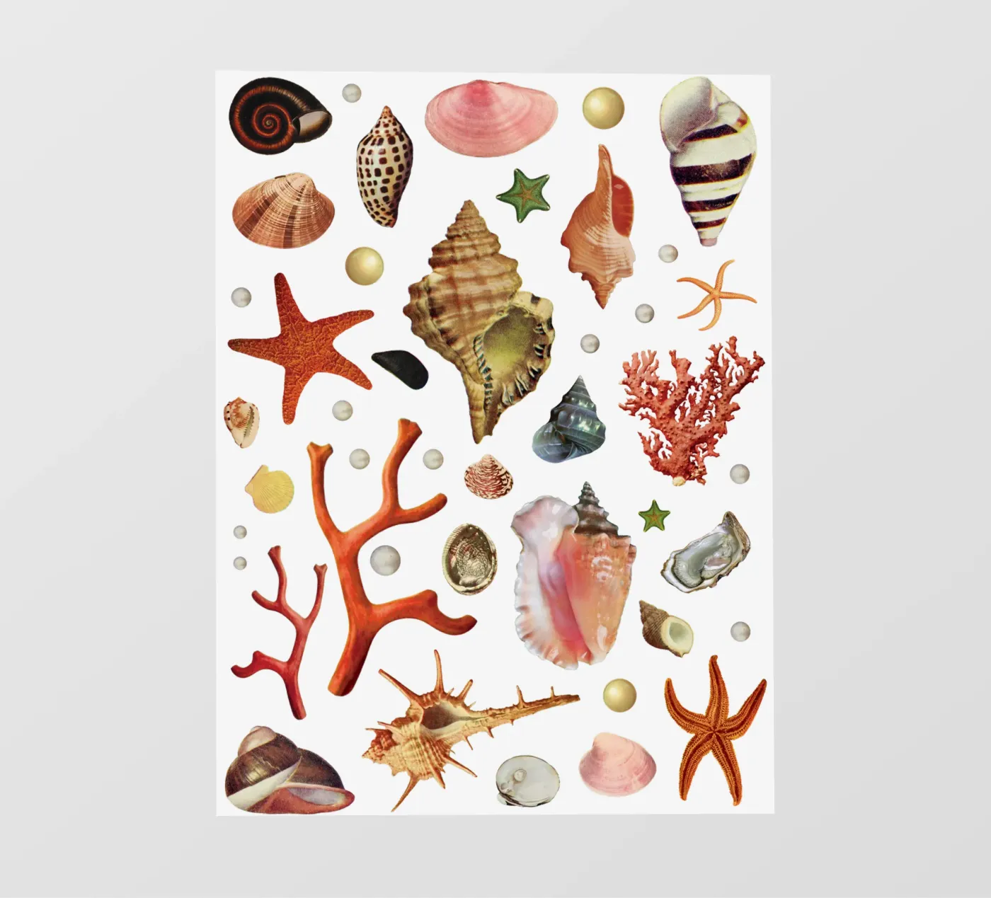 Shell collection pellicola backlit da MsGonzalez