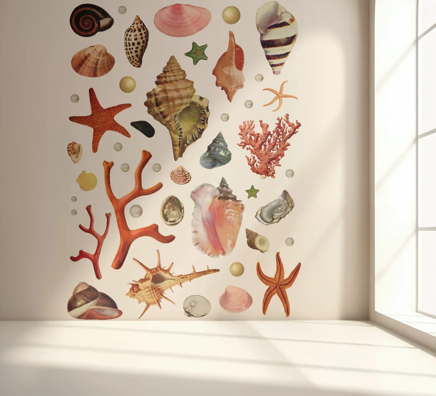 Muschel-Kollektion Fototapete von MsGonzalez