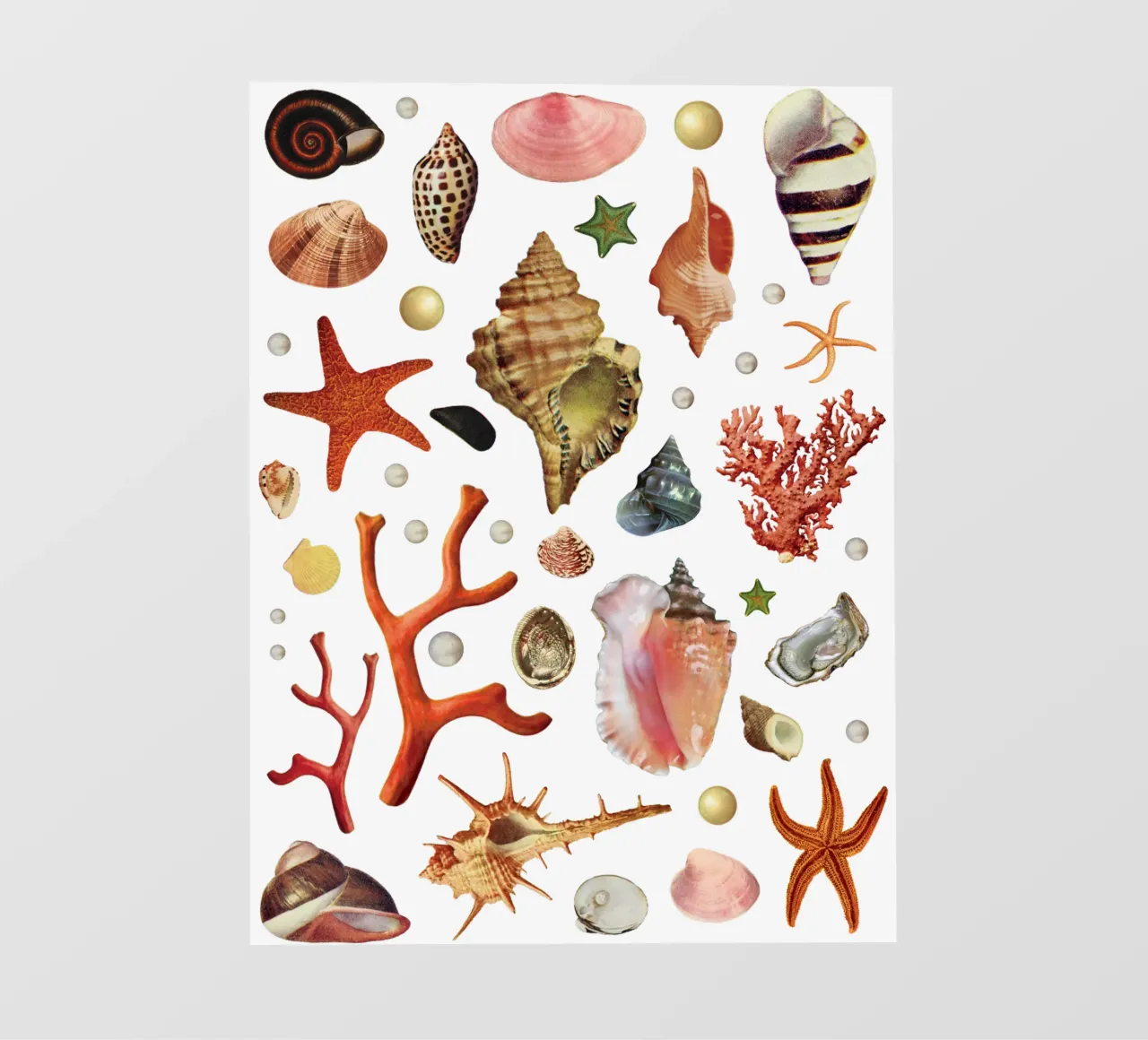 Schelpencollectie fotobehang van MsGonzalez