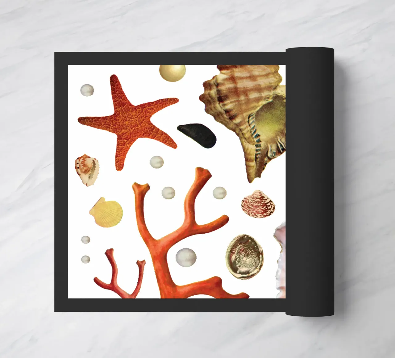 Shell collection doormat by MsGonzalez