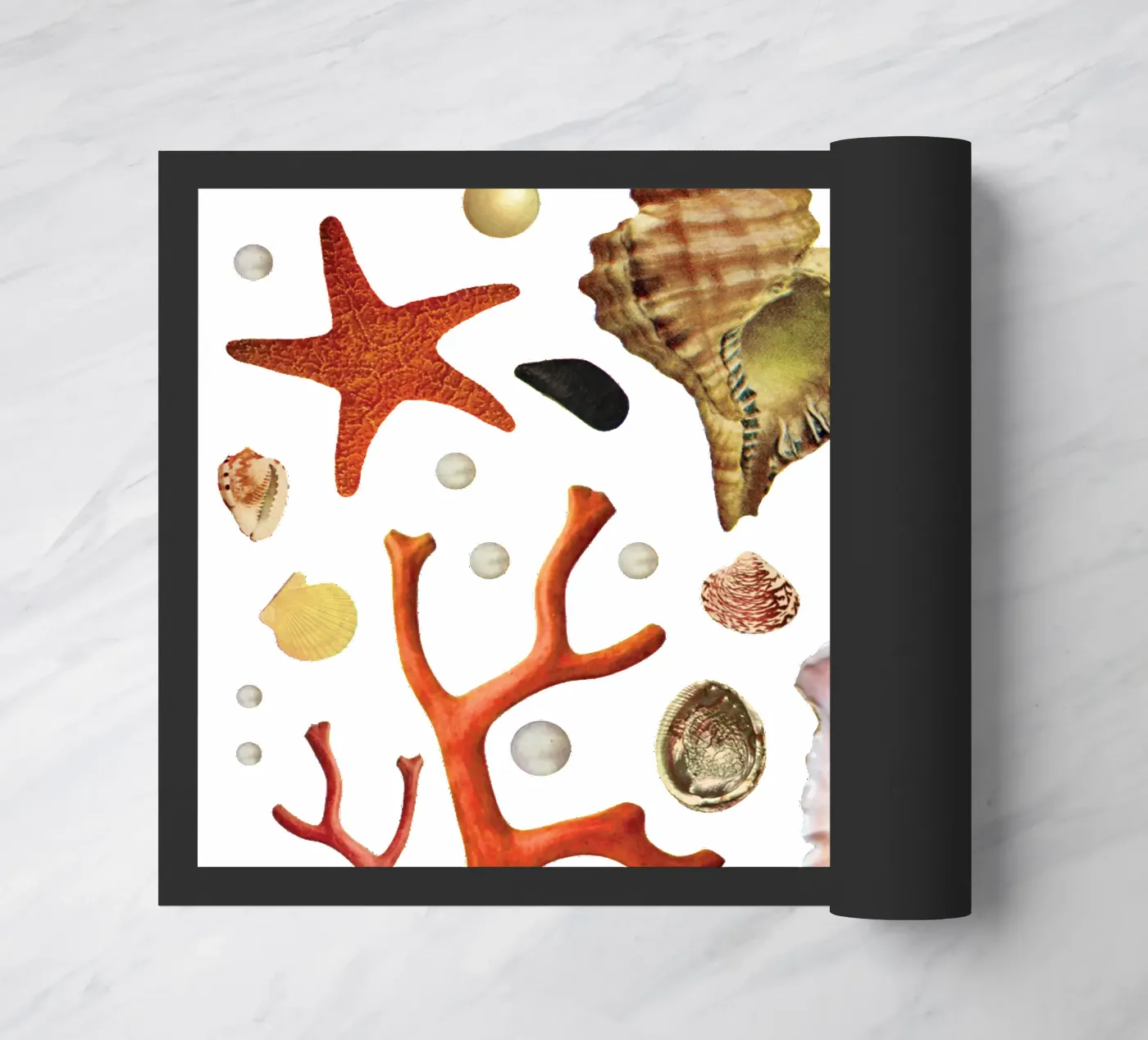 Shell collection doormat by MsGonzalez