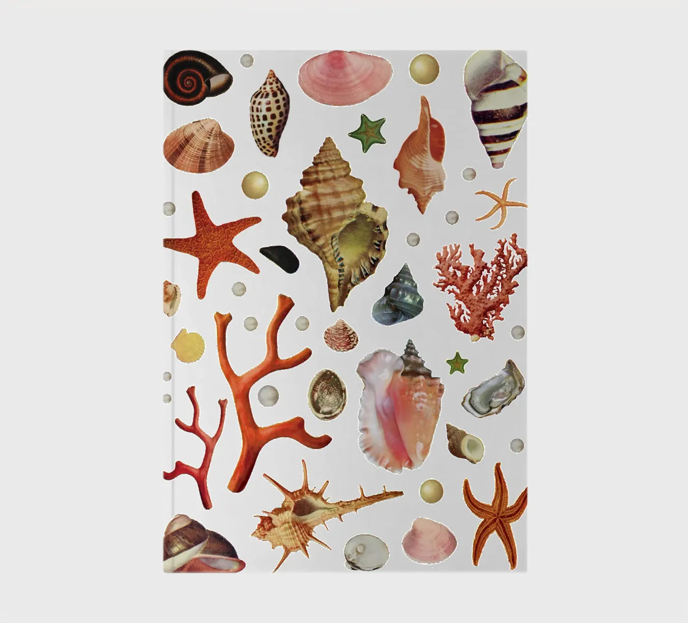 Shell collection notebook by MsGonzalez