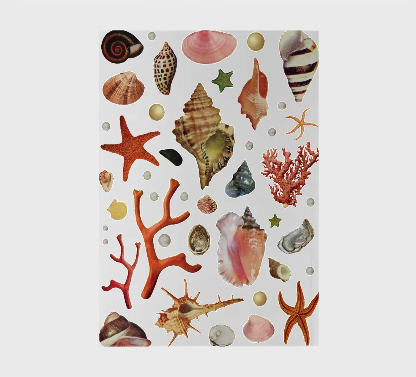 Shell collection notebook by MsGonzalez