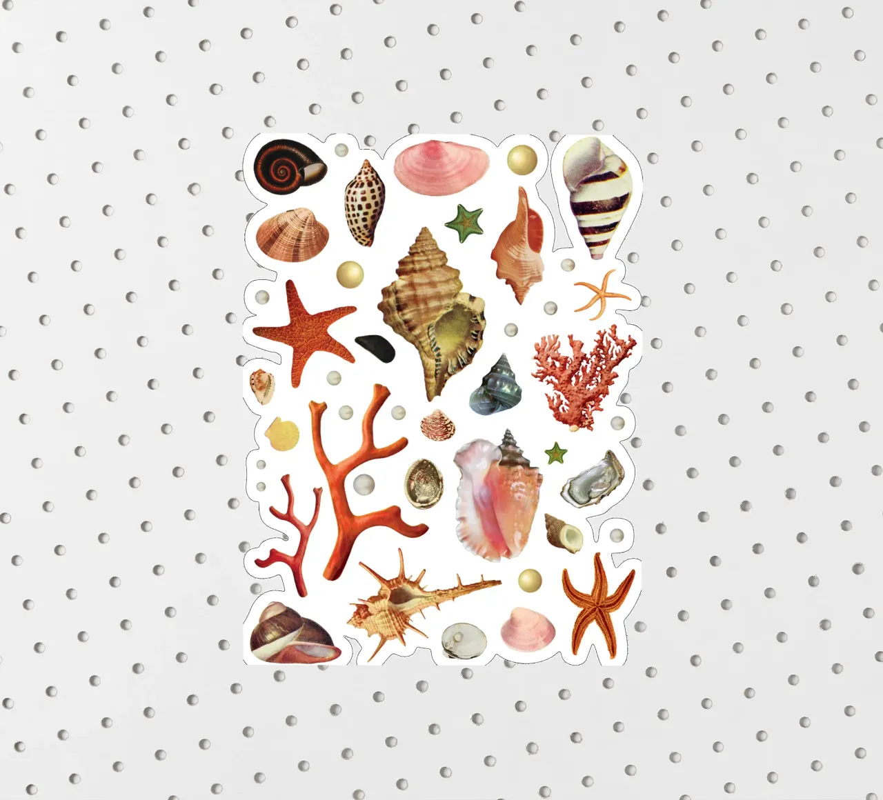Shell collection sticker by MsGonzalez