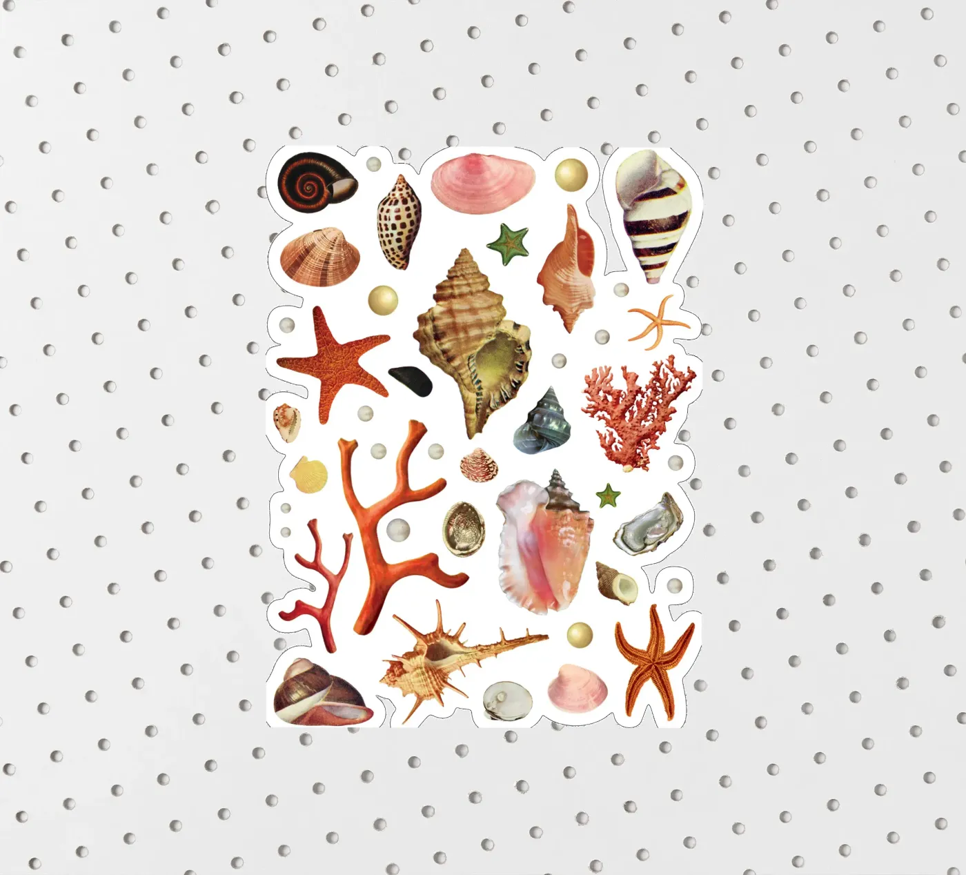 Shell collection sticker by MsGonzalez
