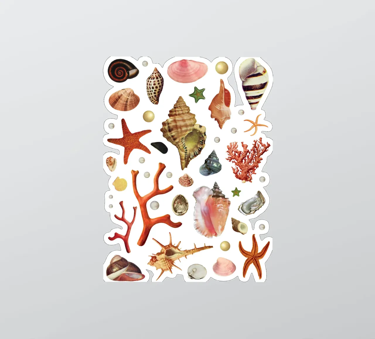 Shell collection sticker by MsGonzalez