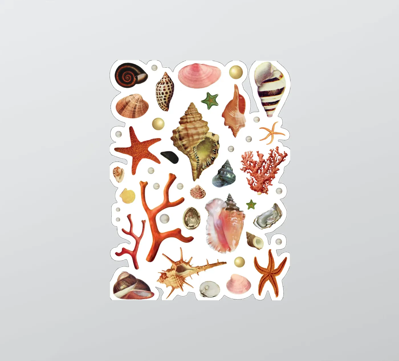 Shell collection sticker by MsGonzalez