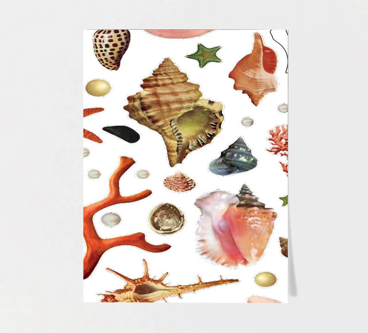 Shell collection sticker sheet by MsGonzalez