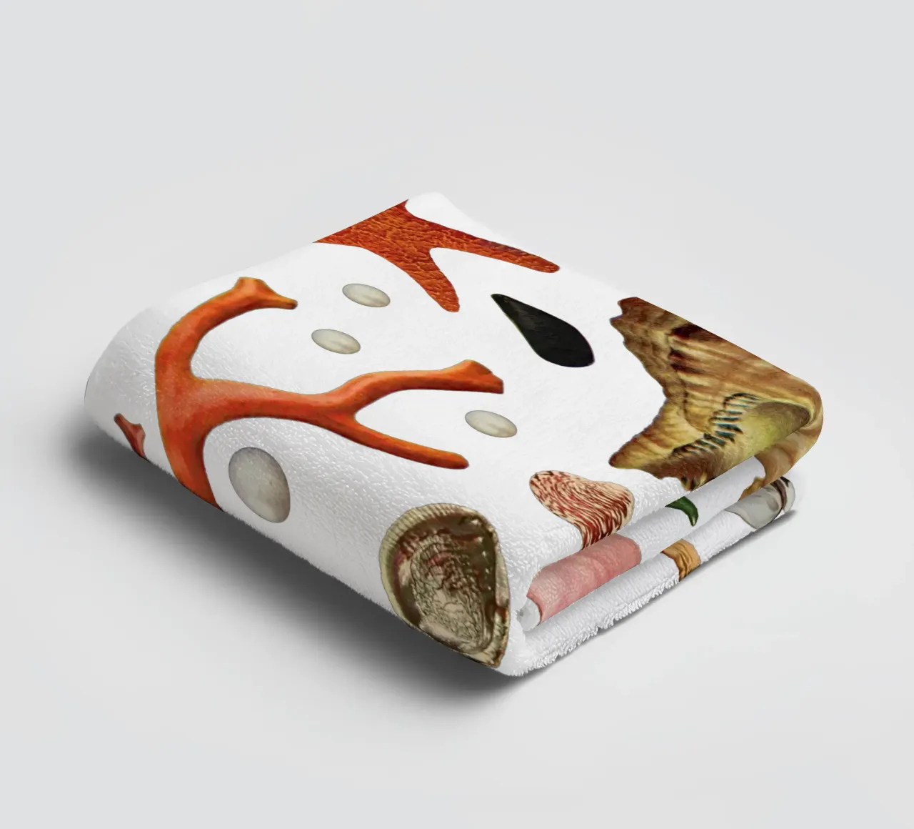 Shell collection towel by MsGonzalez