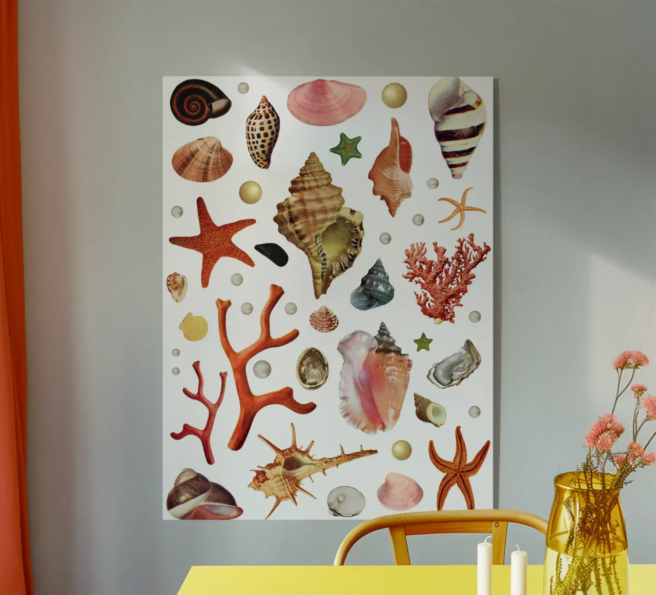 Collezione di conchiglie plexiglass da MsGonzalez
