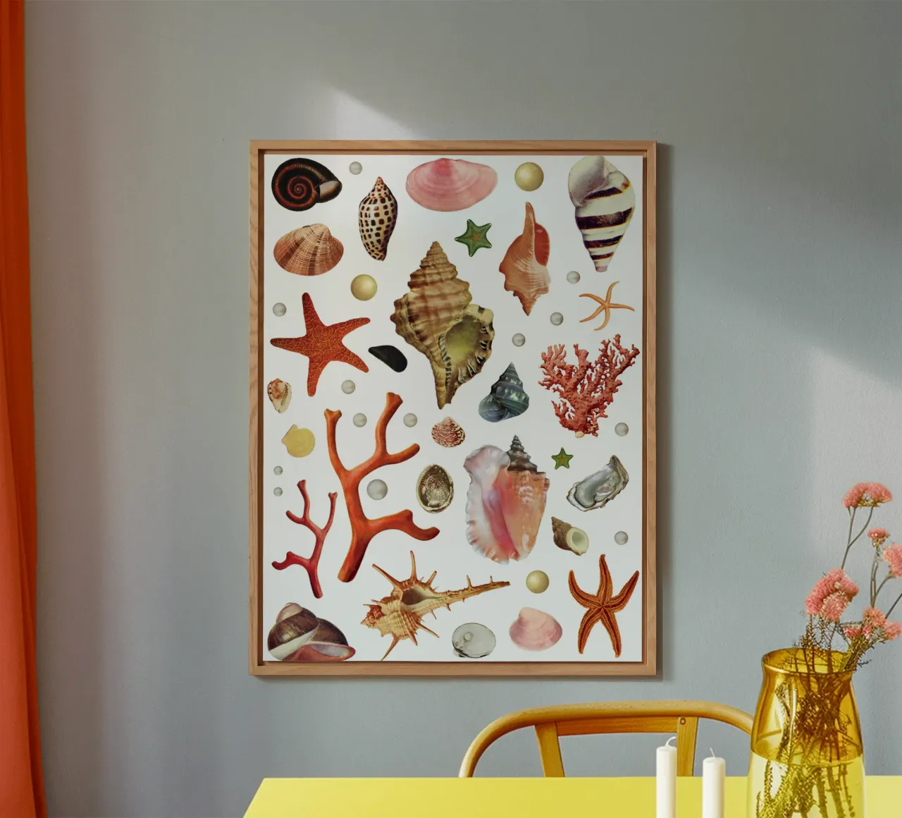 Schelpencollectie forex-plaat van MsGonzalez