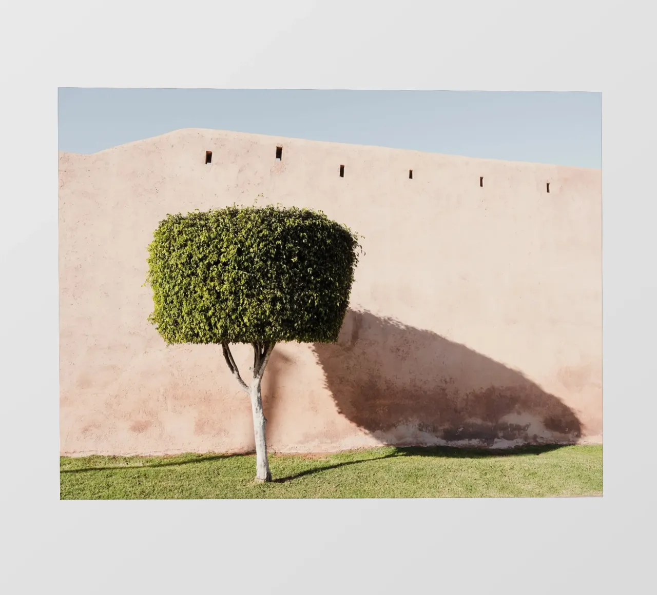 Ancient wall and a green tree telo in pvc da photolovers