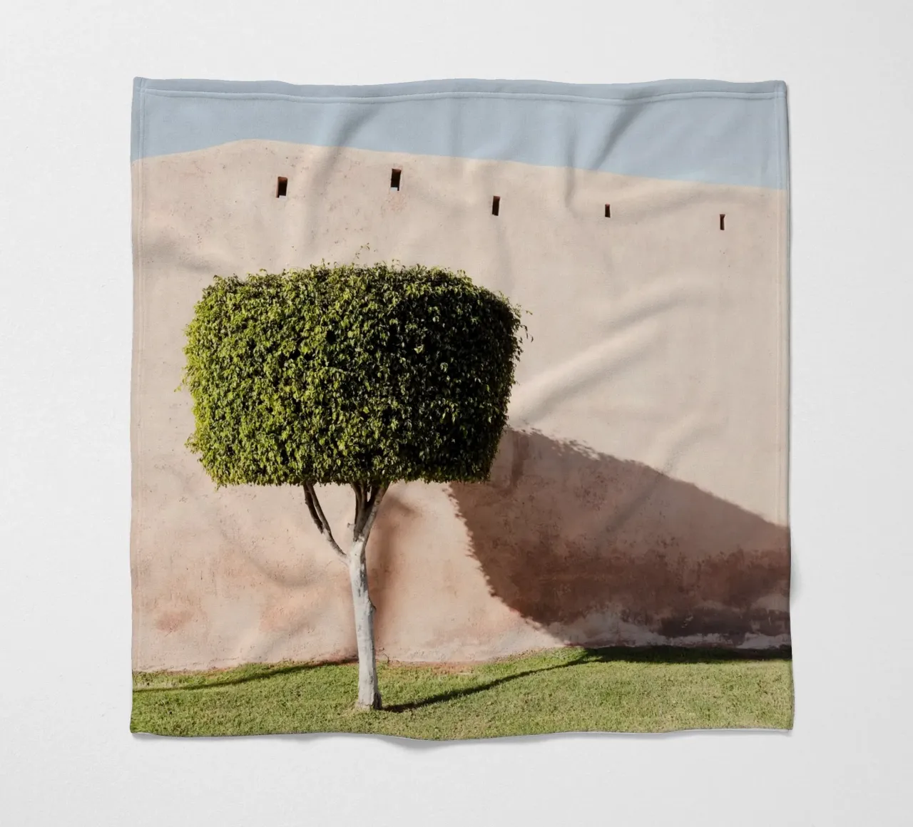 Ancient wall and a green tree coperta in pile da photolovers