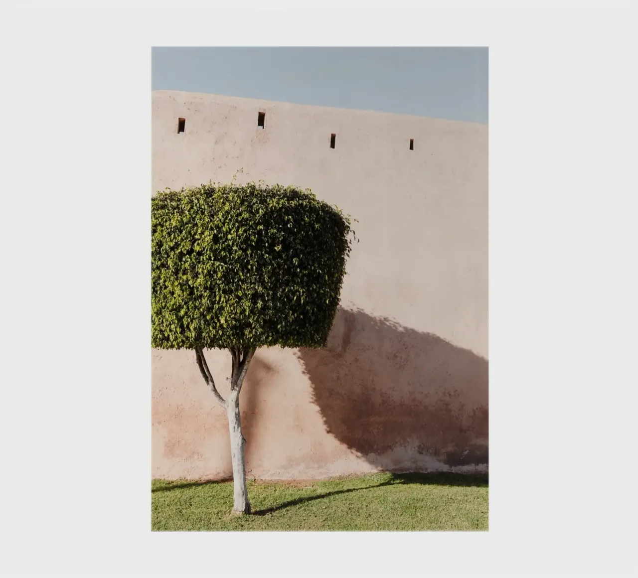 Ancient wall and a green tree notebook by photolovers