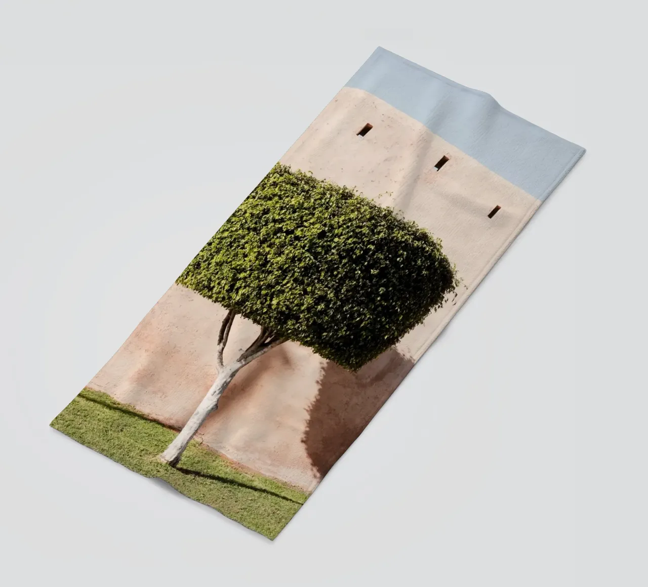 Ancient wall and a green tree telo mare da photolovers