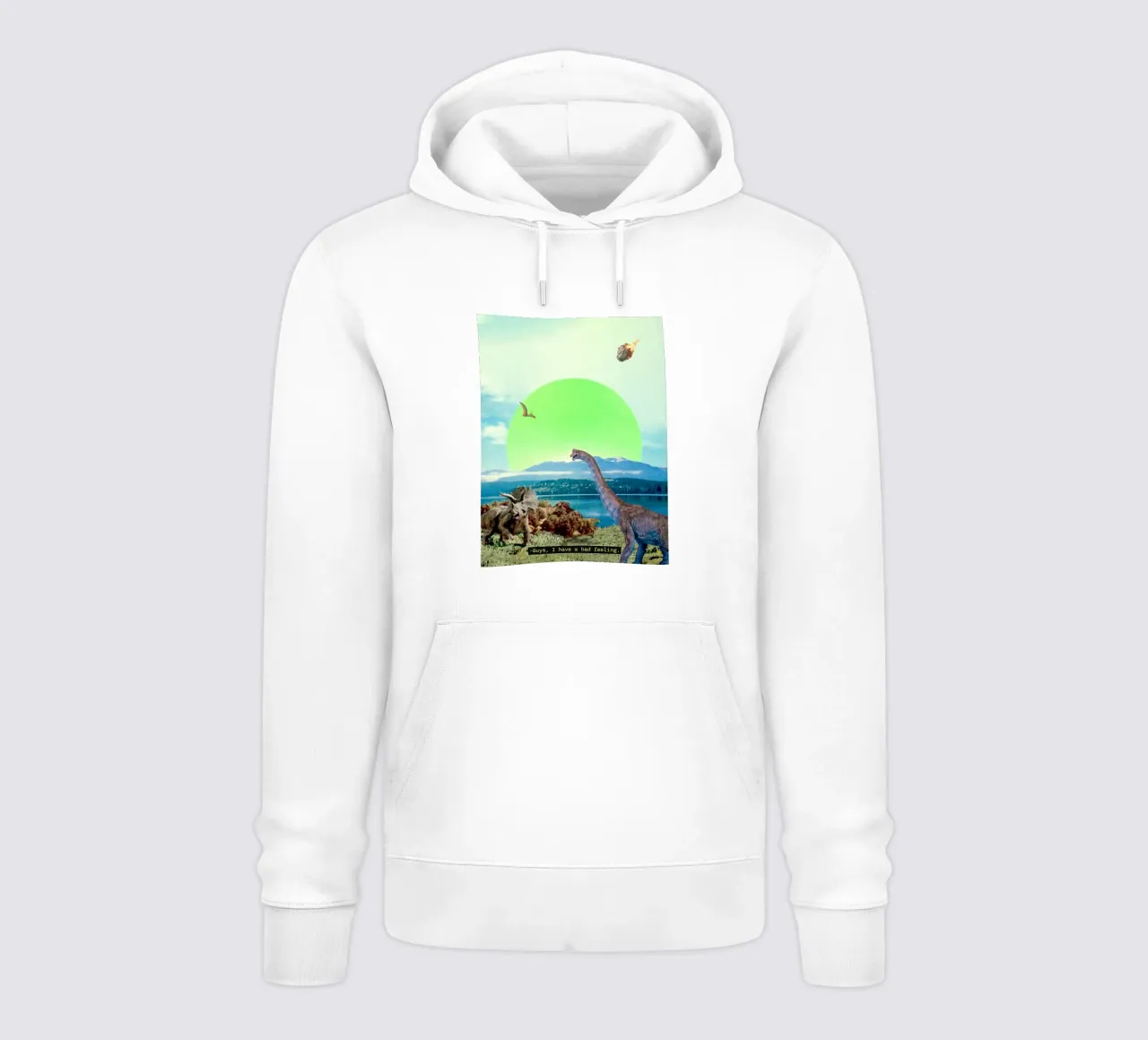 Guys, I have a bad feeling... (The Meteorite) sudadera con capucha de MsGonzalez