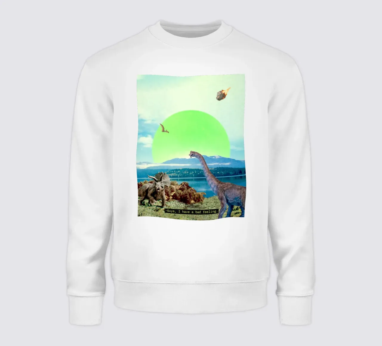 Guys, I have a bad feeling... (The Meteorite) felpa da MsGonzalez