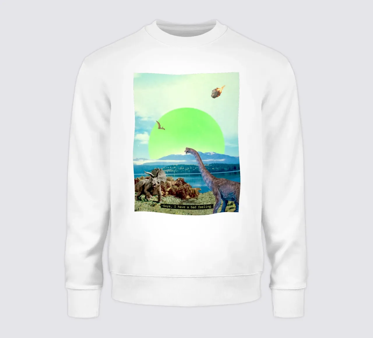Guys, I have a bad feeling... (The Meteorite) sudadera de MsGonzalez