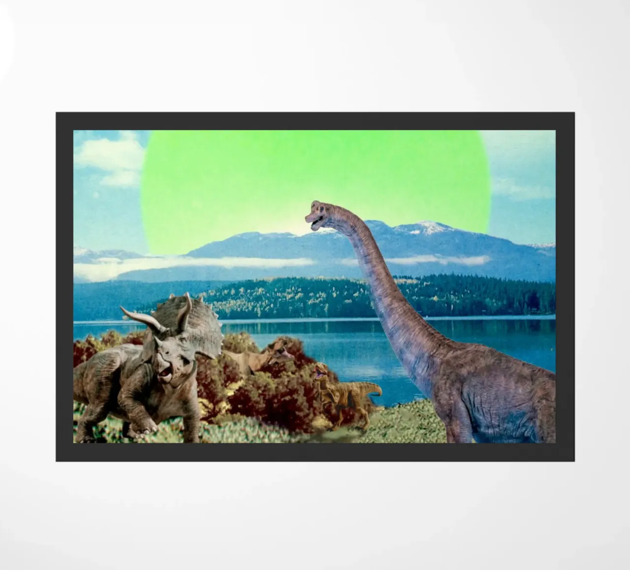 Guys, I have a bad feeling... (The Meteorite) zerbino da MsGonzalez