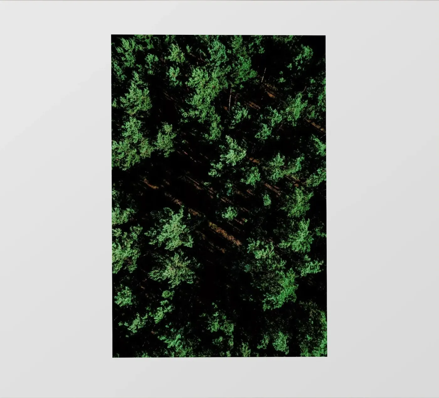 Pattern Forest telo in pvc da Sebastian Hilgetag