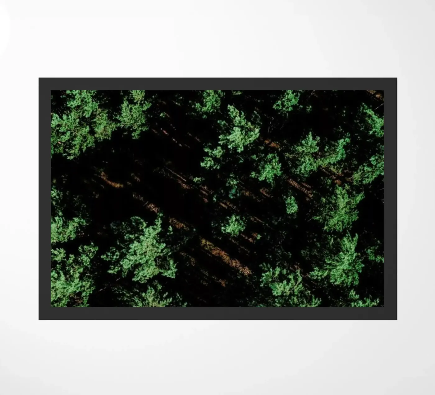 Pattern Forest paillasson de Sebastian Hilgetag