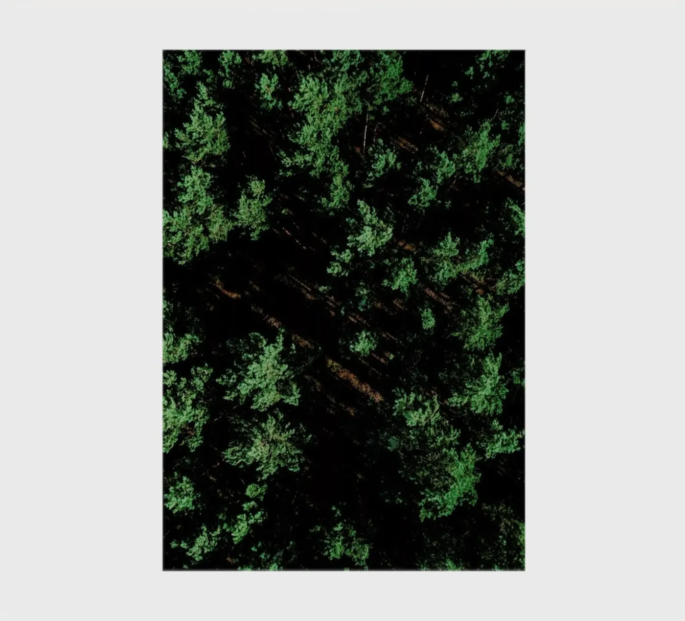 Pattern Forest quaderno da Sebastian Hilgetag