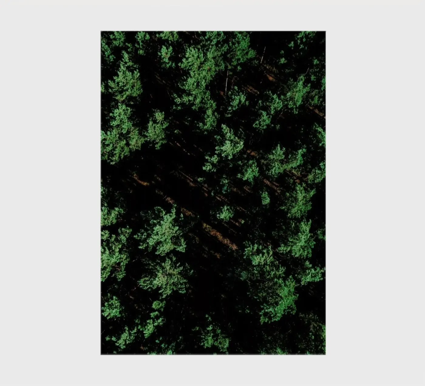 Pattern Forest notitieboek van Sebastian Hilgetag