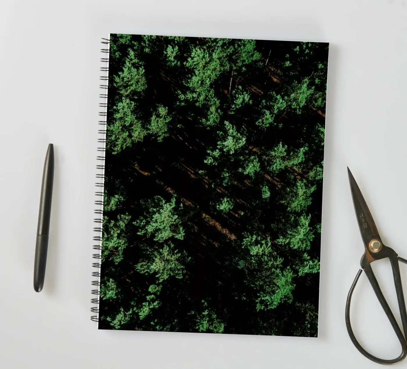 Pattern Forest Ringbuch von Sebastian Hilgetag