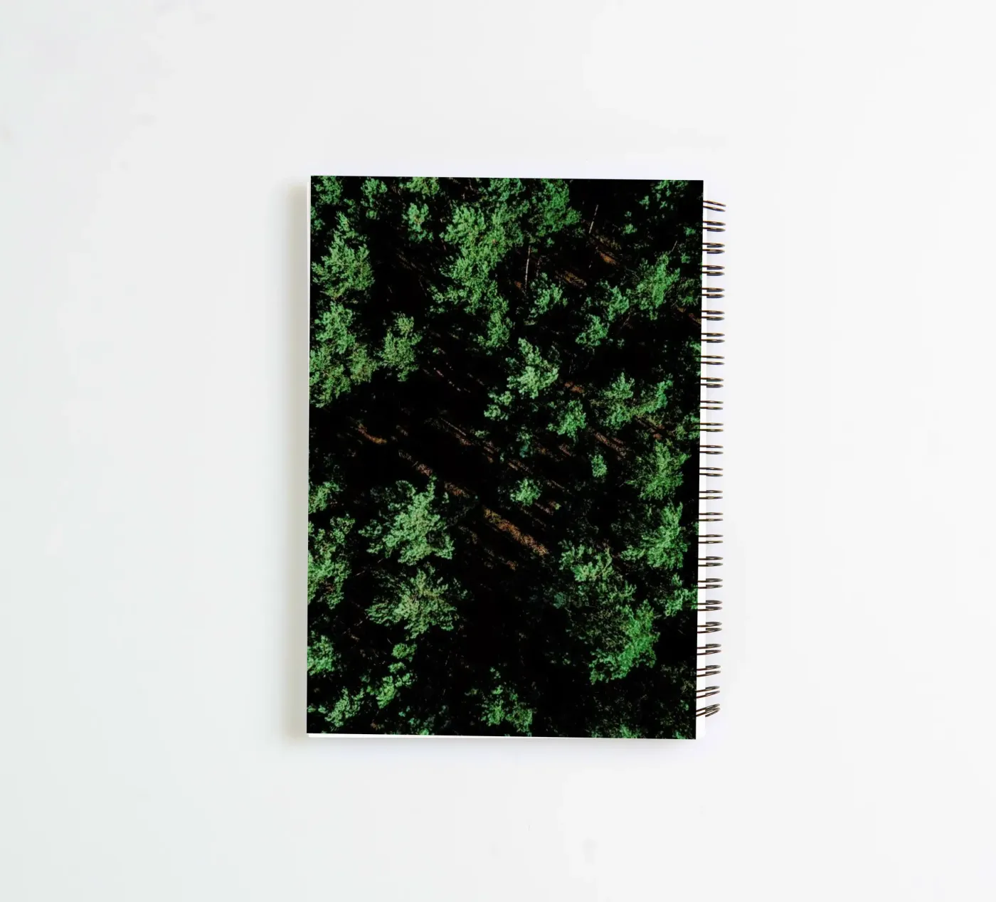 Pattern Forest Ringbuch von Sebastian Hilgetag