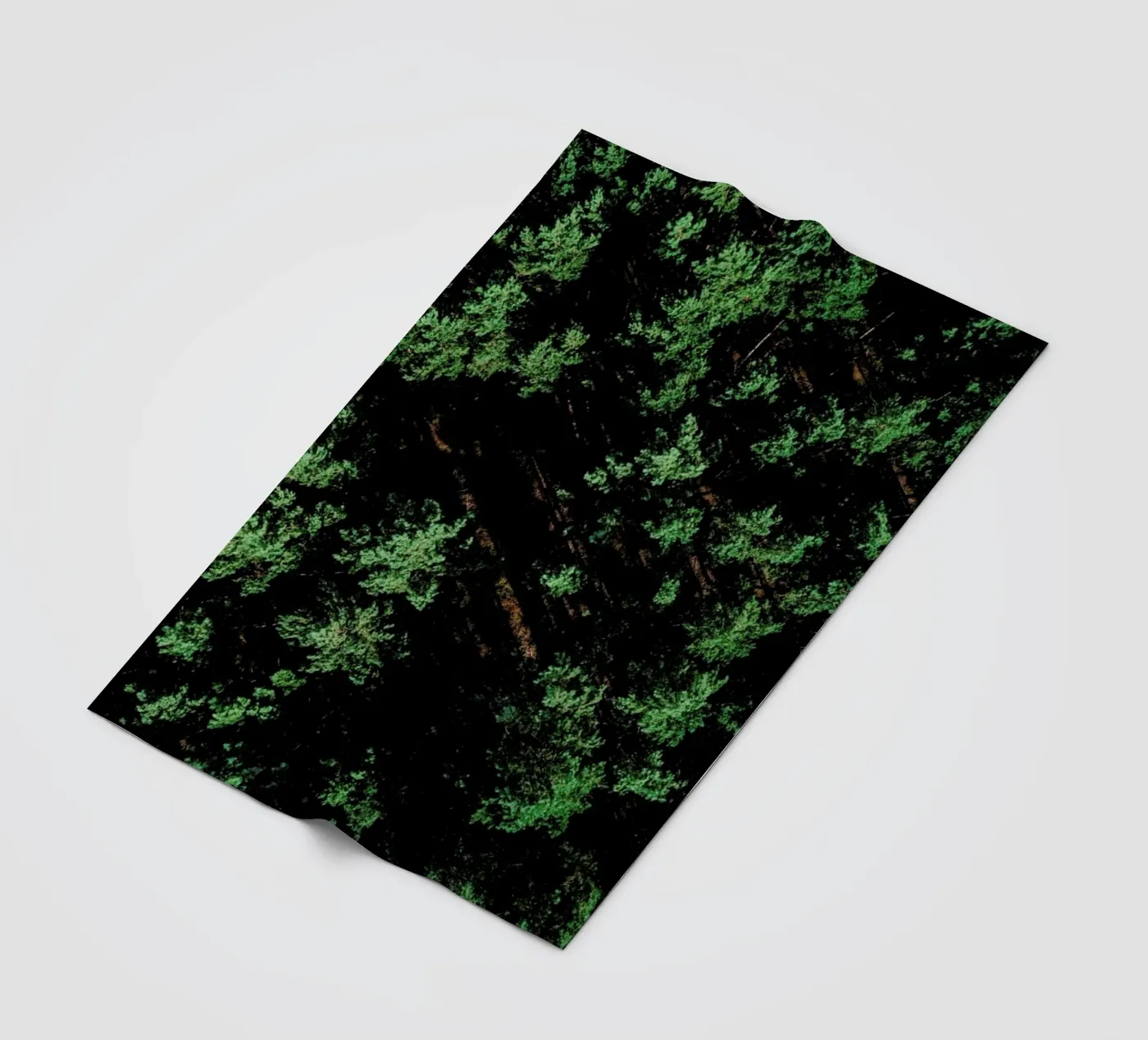 Pattern Forest plaid polaire de Sebastian Hilgetag