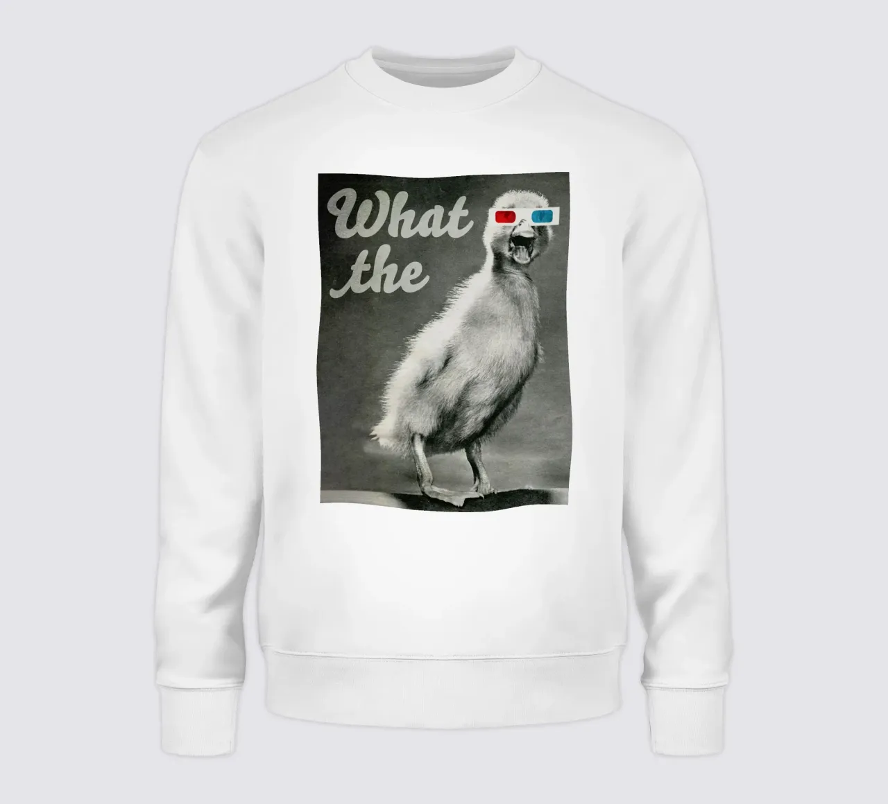 What the duck sweatshirt by MsGonzalez