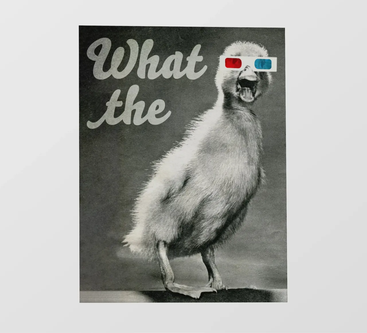 What the duck lámina retroiluminada de MsGonzalez