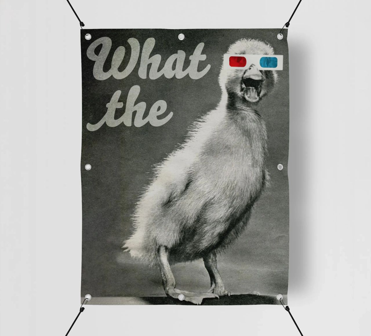 What the duck telo in pvc da MsGonzalez