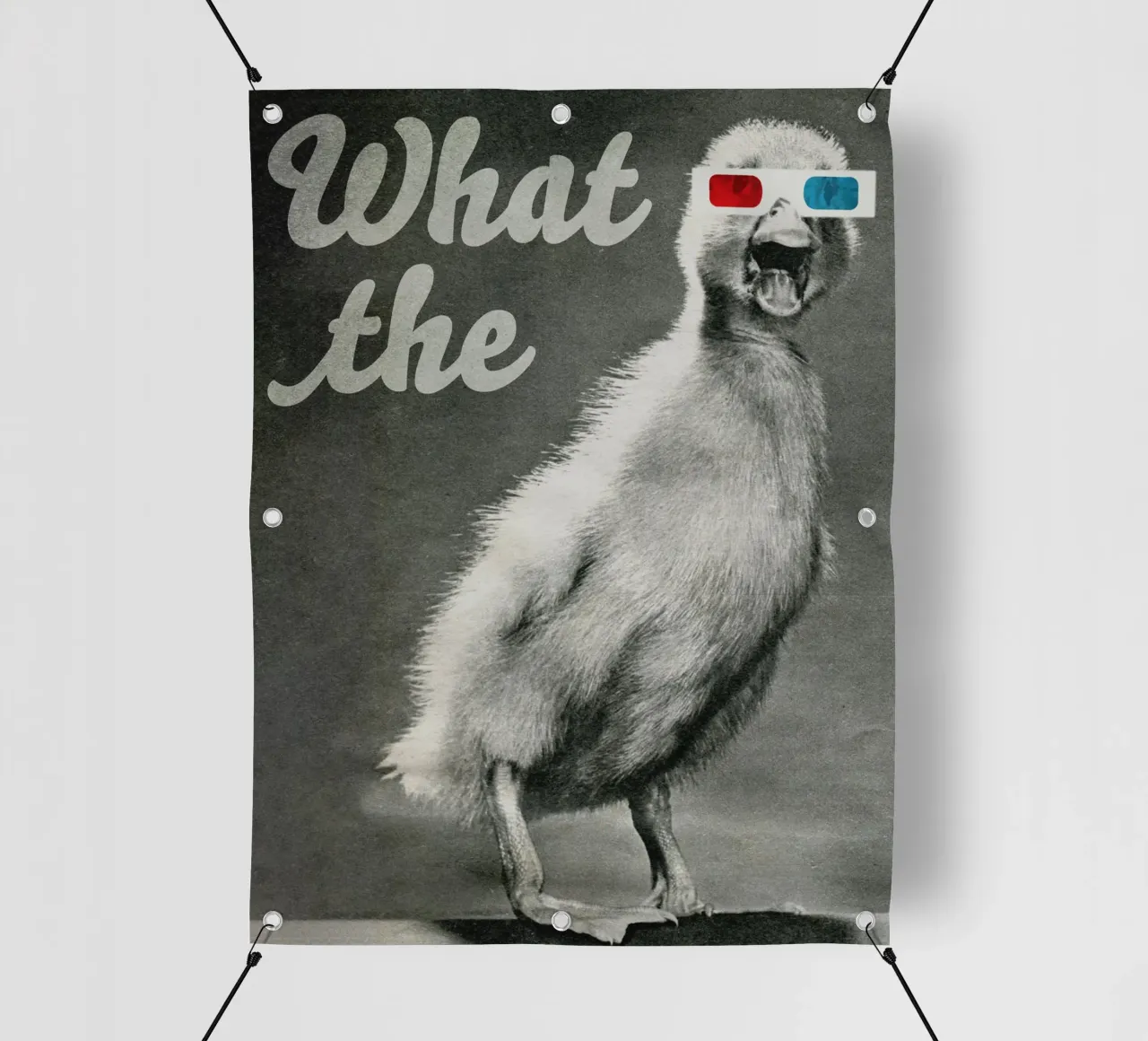 What the duck telo in pvc da MsGonzalez