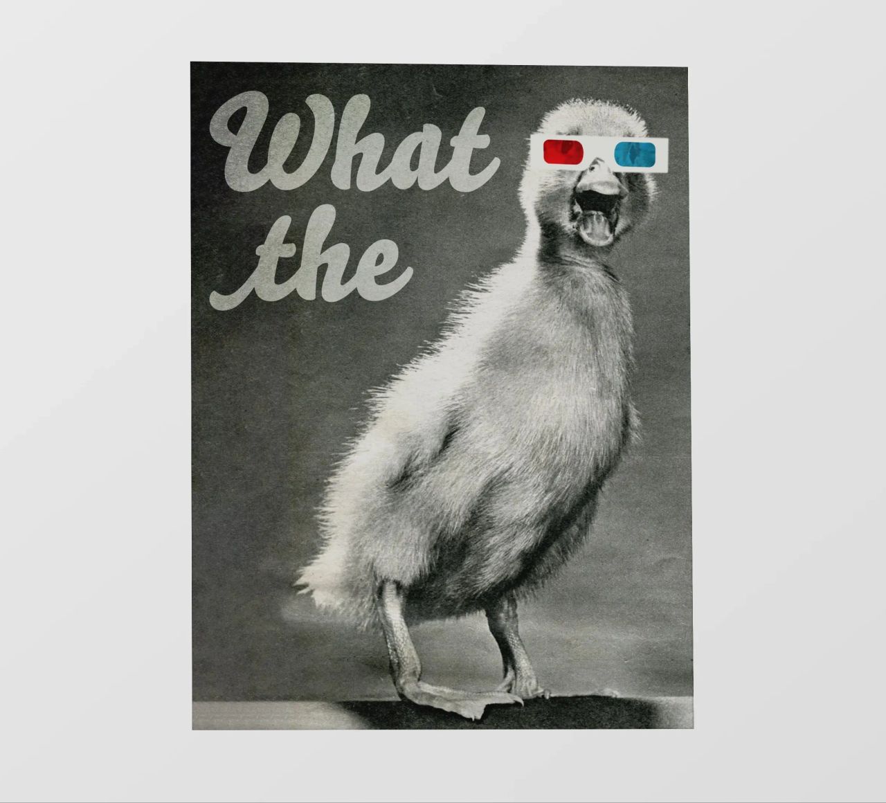 What the duck telo in pvc da MsGonzalez