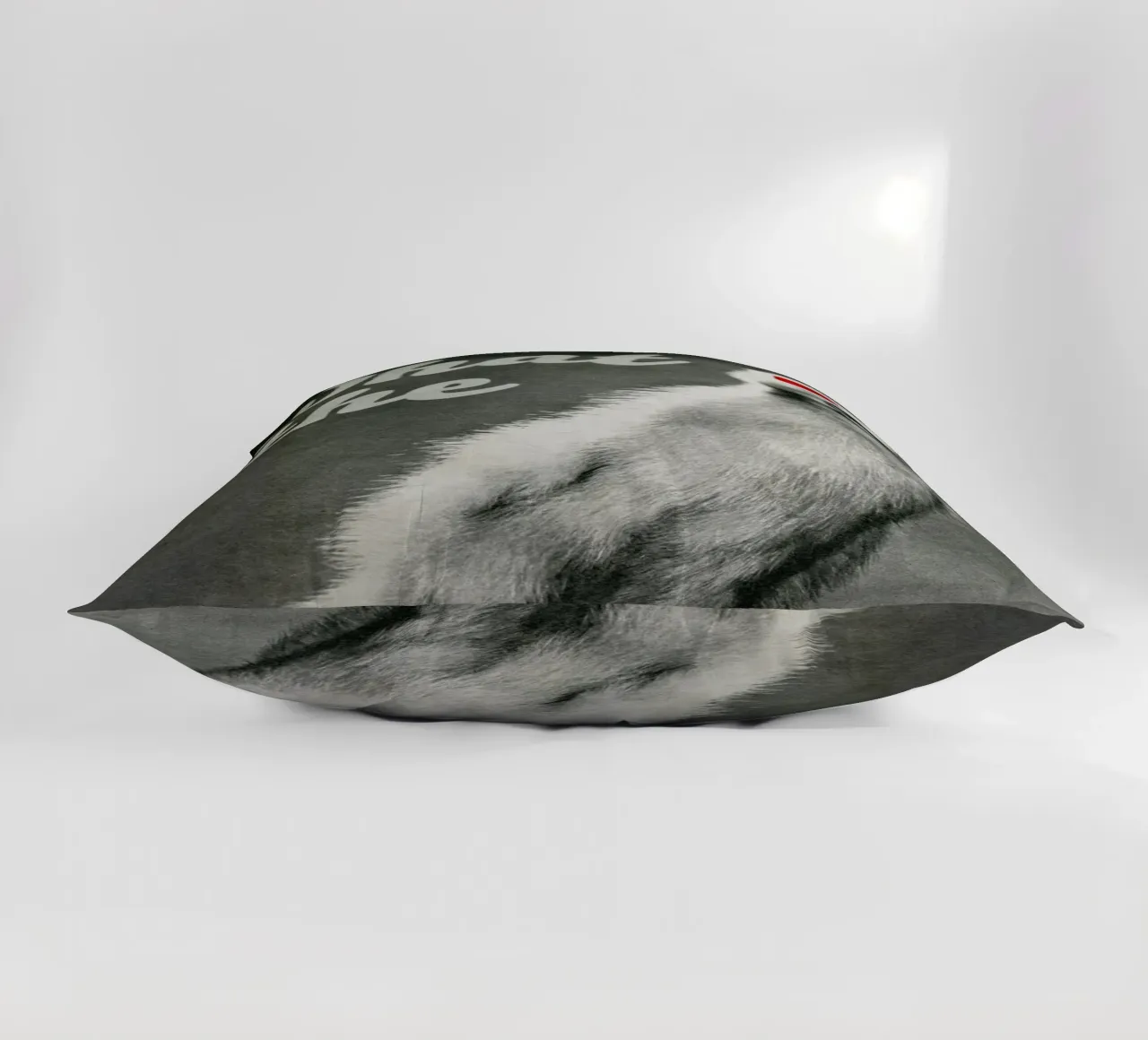 What the duck cuscino da MsGonzalez