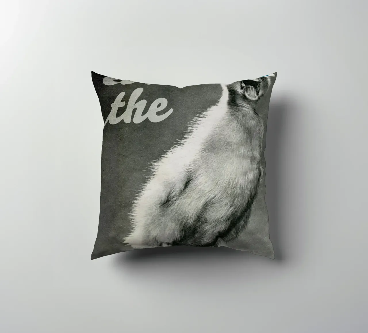 What the duck cuscino da MsGonzalez