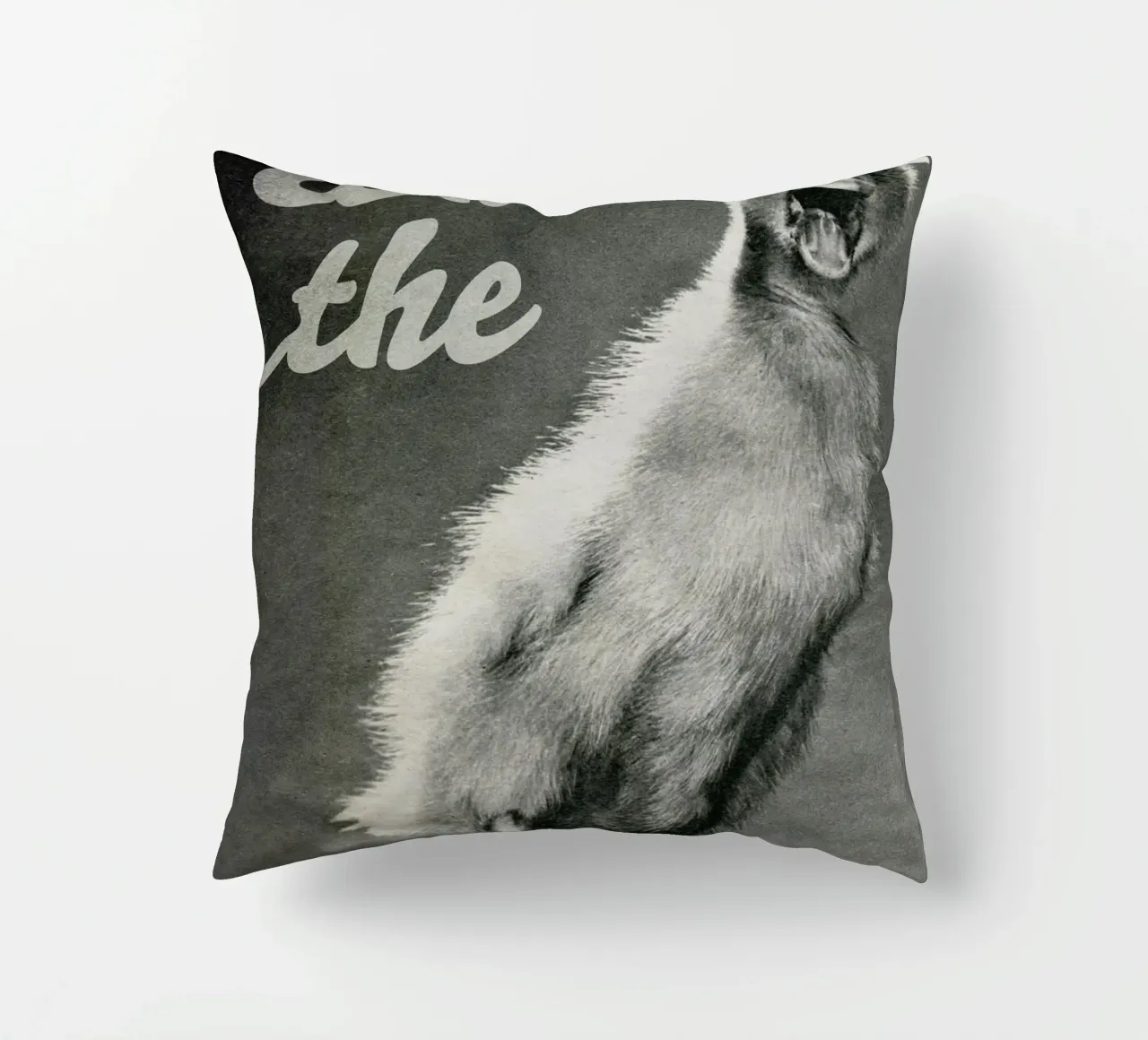 What the duck cuscino da MsGonzalez